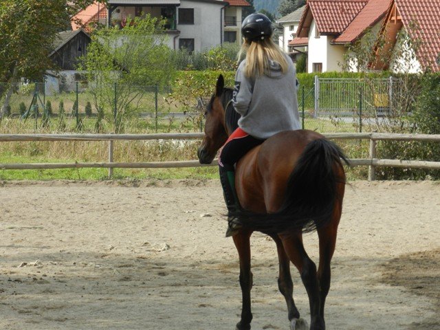 Babie Lato 2016